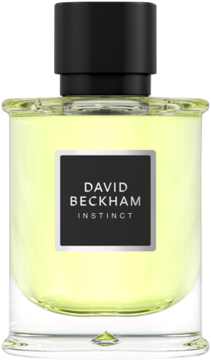 David Beckham Instinct Instinct Eau de Parfum 75ml