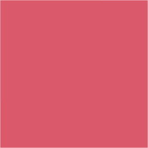 Sally Hansen Insta-Dri Fast and Fuschia Nail Colour 9.17ml