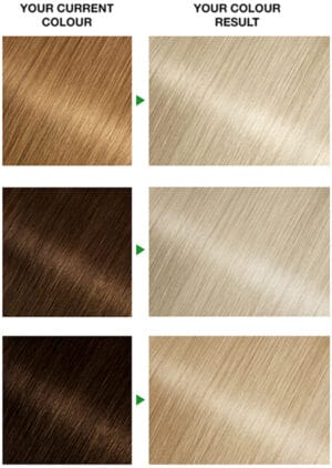 Garnier Nutrisse Ultra Color Blonde D+++ Bleach Maximum Lightener Permanent Hair Dye 1s