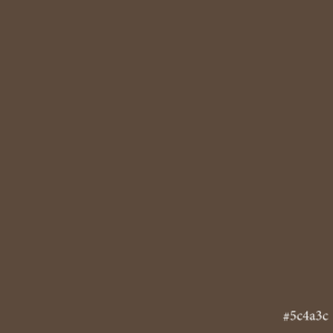 Rimmel WonderLast Medium Brown Brow Tint 5ml