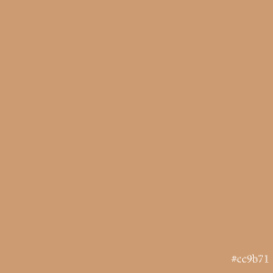 Rimmel Kind & Free True Ivory Moisturising Skin Tint Foundation 30ml