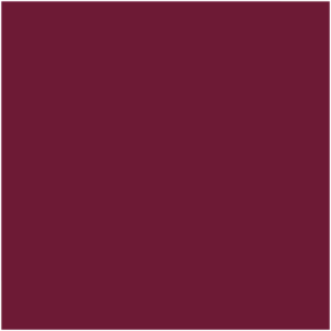 Sally Hansen Insta-Dri Just In Wine Nail Colour 9.17ml