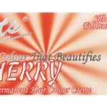 Secrets Pour Femme 7.55 Permanent Hair Colour Creme 1s