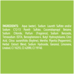 Radox Feel Energised Limited Edition Bodywash 400ml