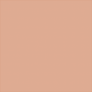 Sally Hansen Insta-Dri Instant Coffee Nail Colour 9.17ml