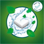 Nicorette Freshmint 2mg Nicotene Gum 105pk