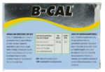 B-cal Supplement Chew Tablets 100pk