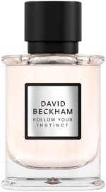David Beckham Follow Your Instinct Follow Your Instinct Eau de Parfum 50ml