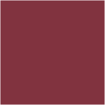 Sally Hansen Insta-Dri Expresso Nail Colour 9.17ml