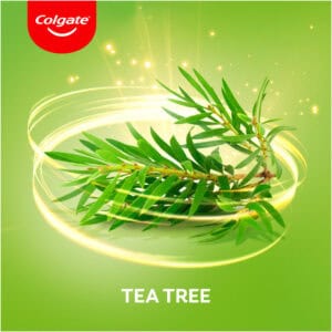 Colgate Herbal Fluoride Toothpaste 125ml