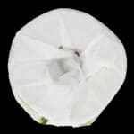 Twinsaver 1 Ply Toilet Tissue Roll 1s