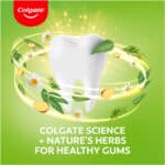 Colgate Herbal Fluoride Toothpaste 125ml