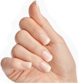 KISS Salon Acrylic Nude French Nails 28pc
