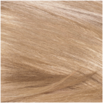 Revlon Colorsilk Champagne Blonde Beautiful Color Permanent Hair Colour 1s