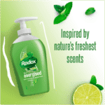 Radox Feel Energised Keylime and Peppermint Cleansing Hand Wash Soap 300ml