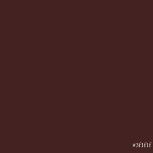 Rimmel Lasting Finish Salty Lipstick 2.3g