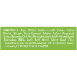 Radox Feel Energised Keylime and Peppermint Cleansing Hand Wash Soap 300ml