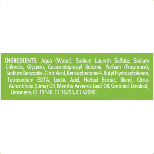 Radox Feel Energised Keylime and Peppermint Cleansing Hand Wash Soap 300ml
