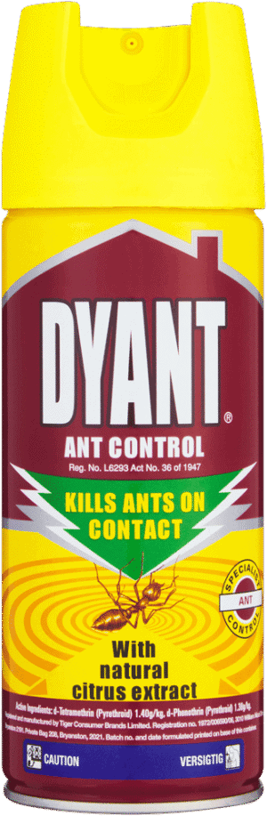 Dyrange Dyant Ant Control Insecticide Spray 300ml