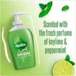 Radox Feel Energised Keylime and Peppermint Cleansing Hand Wash Soap 300ml
