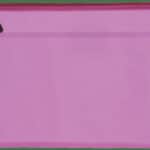 Scripto Assorted A4 Zipper Book Bag 1s