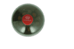 Kingsley Apple Flavoured Soft Drink 2L
