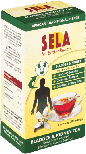 SELA Bladder & Kidney Tea 20pk