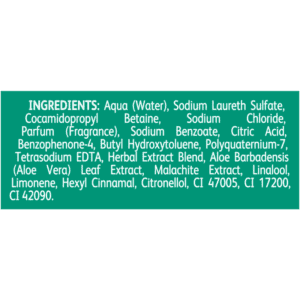 Radox Men Feel Adventurous Body Wash 400ml